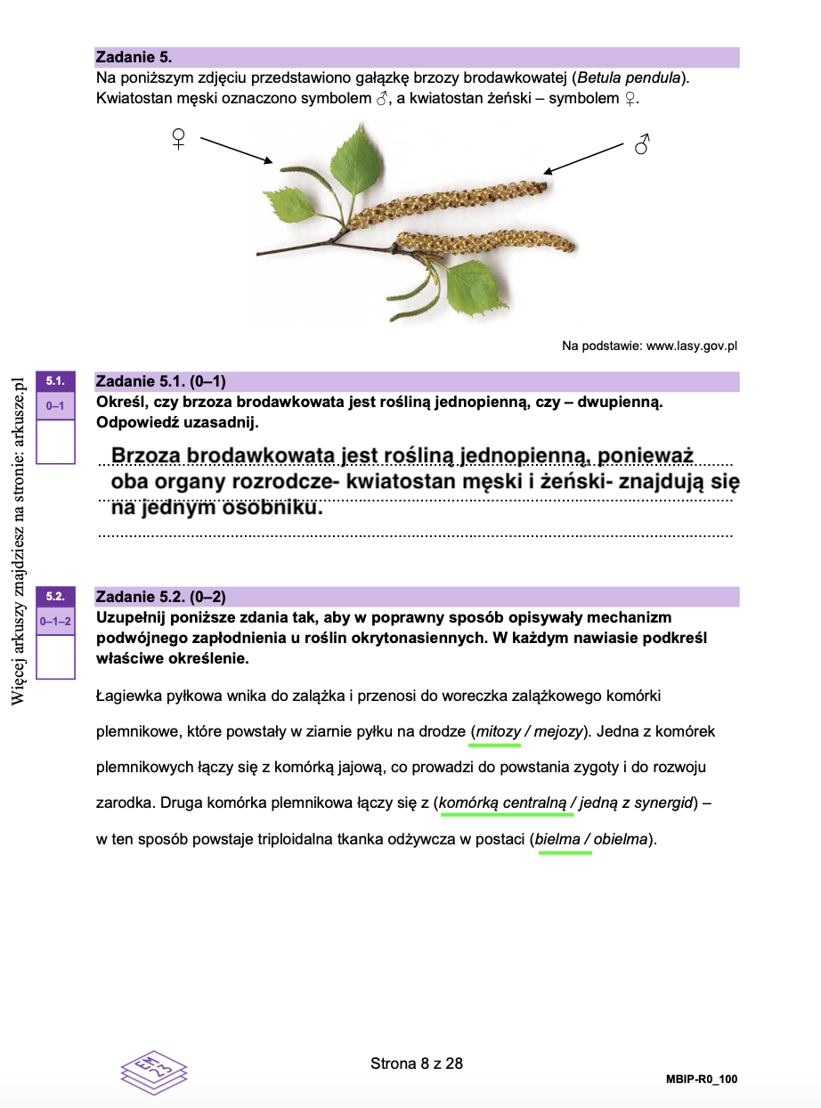 Matura próbna grudzień 2024. Biologia, poziom rozszerzony – strona 6