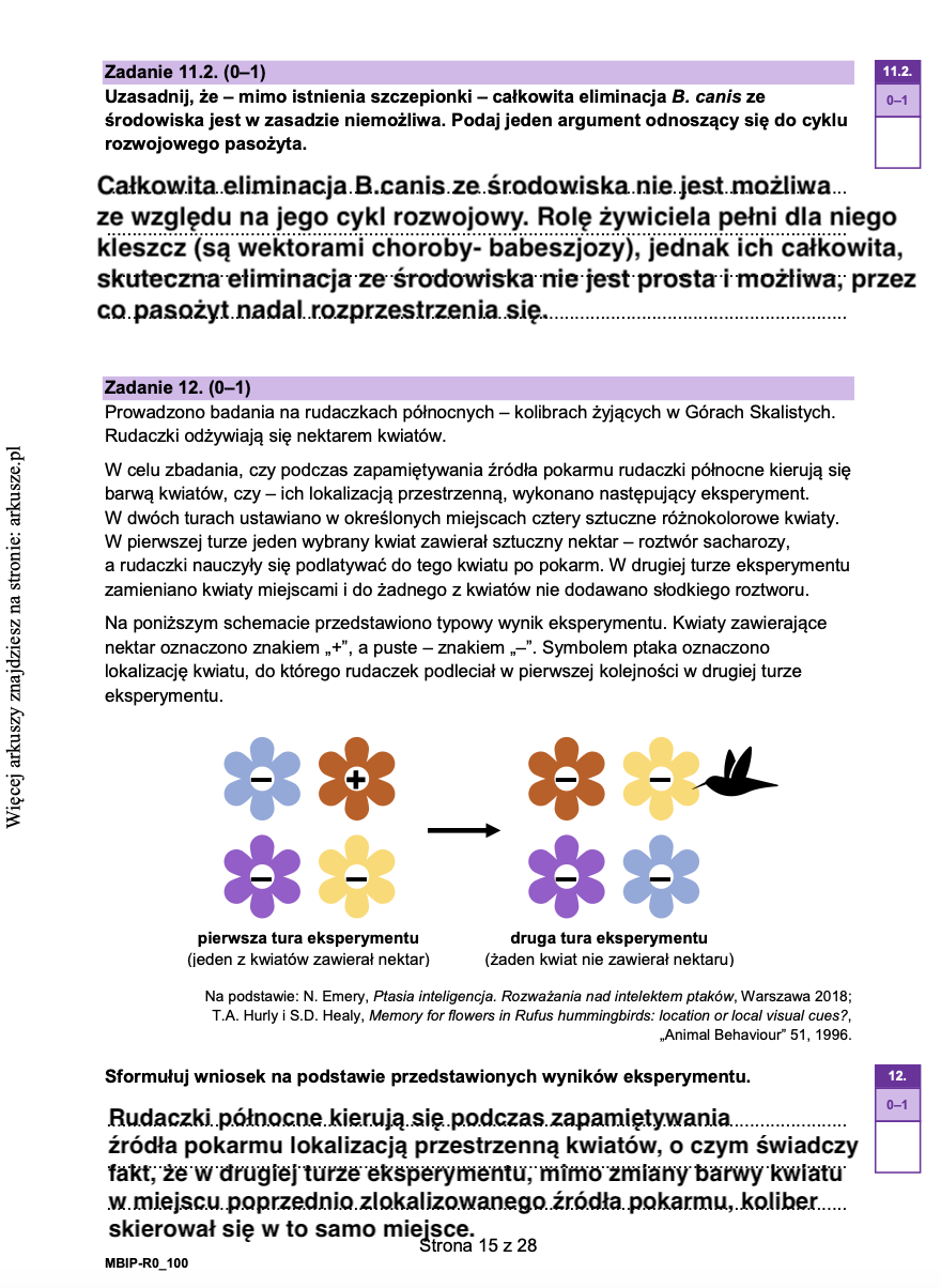 Matura próbna grudzień 2024. Biologia, poziom rozszerzony – strona 13