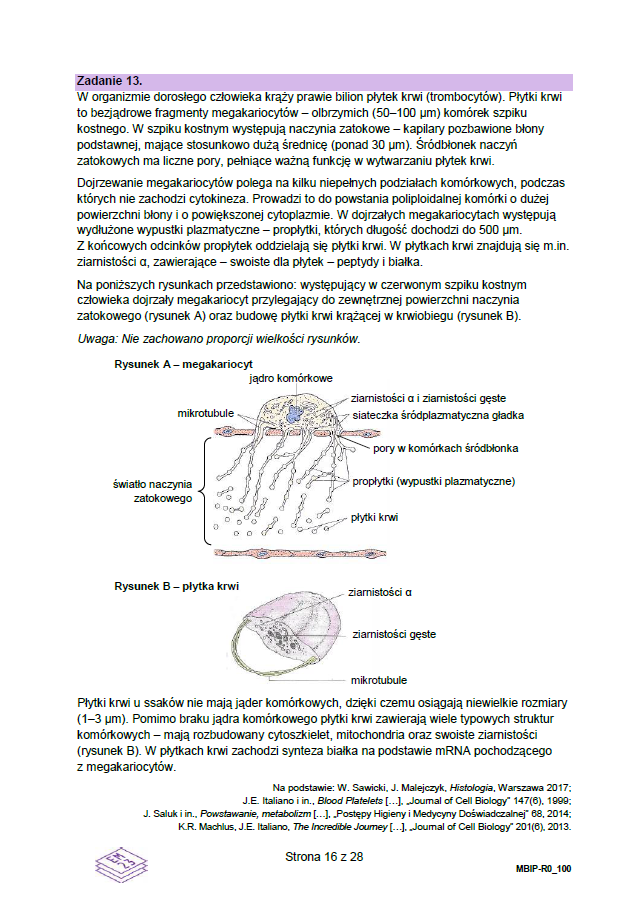 Matura próbna grudzień 2024. Biologia, poziom rozszerzony – strona 166