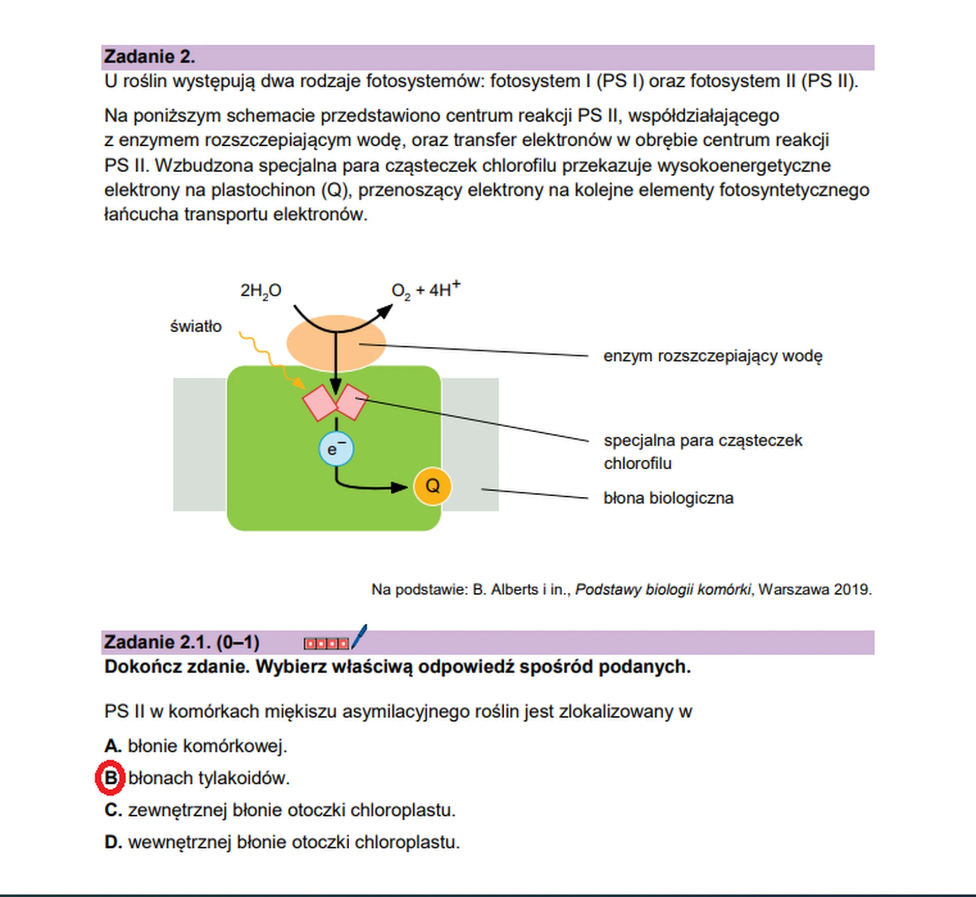 Matura maj 2026. Biologia, poziom rozszerzony – zadanie 2