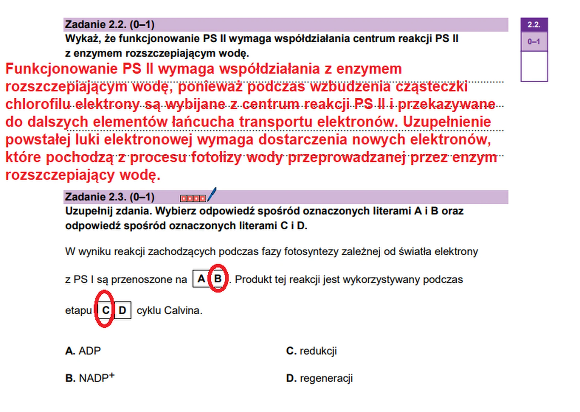 Matura maj 2026. Biologia, poziom rozszerzony – zadanie 2.2