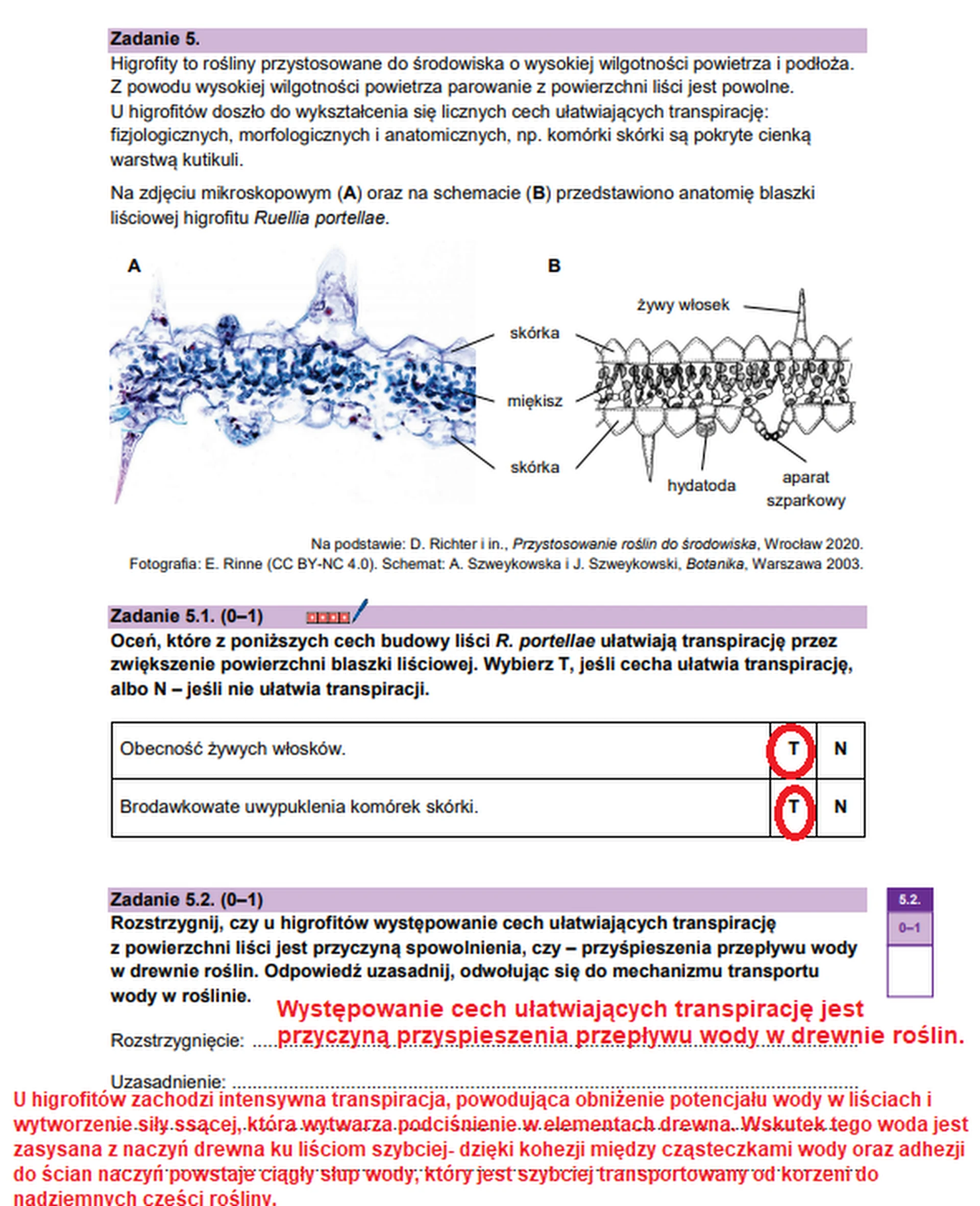 Matura maj 2026. Biologia, poziom rozszerzony – zadanie 5