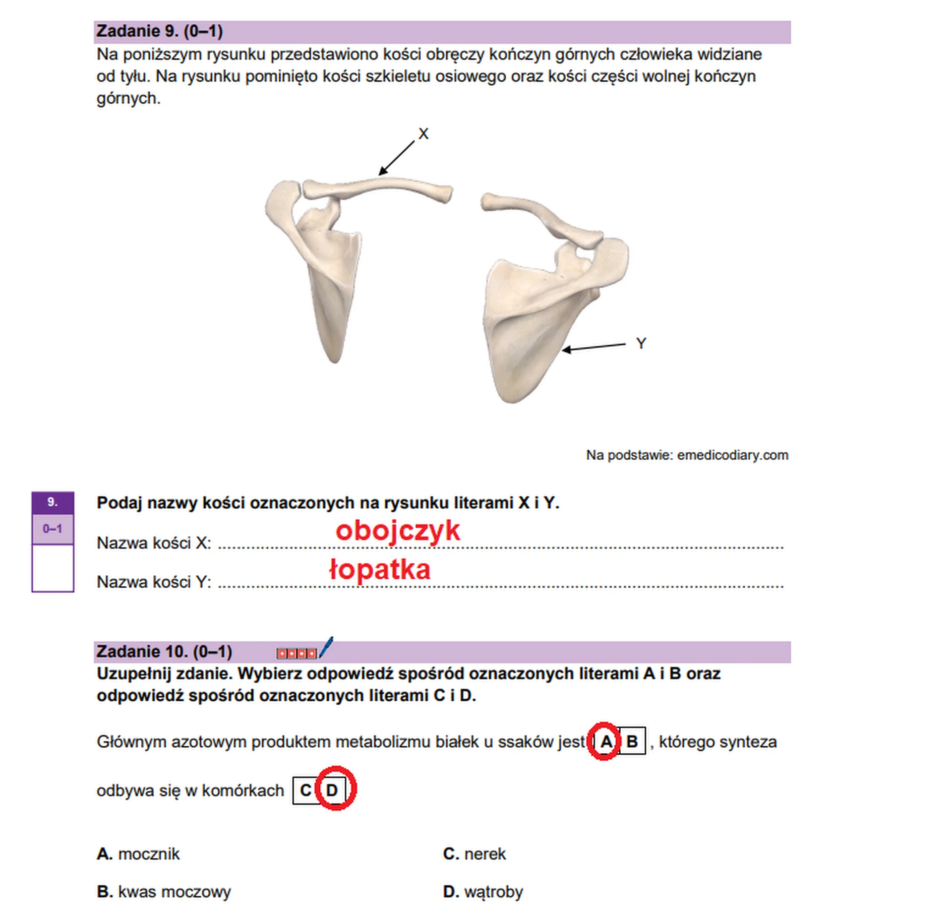 Matura maj 2026. Biologia, poziom rozszerzony – zadanie 9, zadanie 10