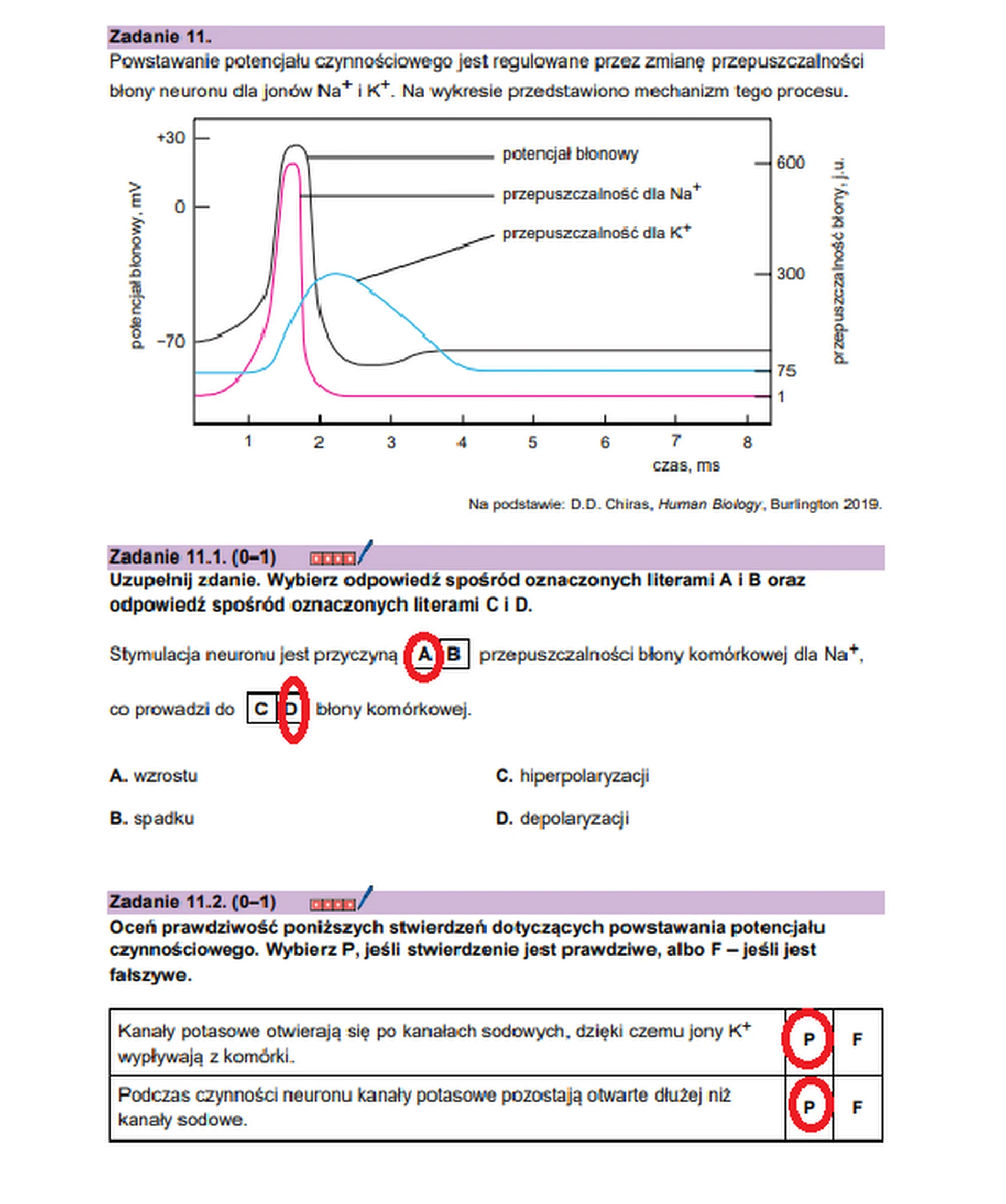 Matura maj 2026. Biologia, poziom rozszerzony – zadanie 11