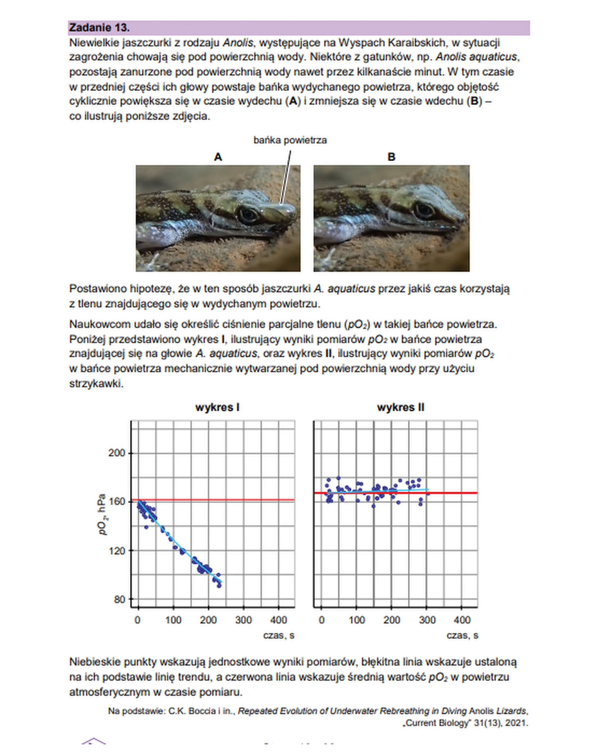 Matura maj 2026. Biologia, poziom rozszerzony – zadanie 13