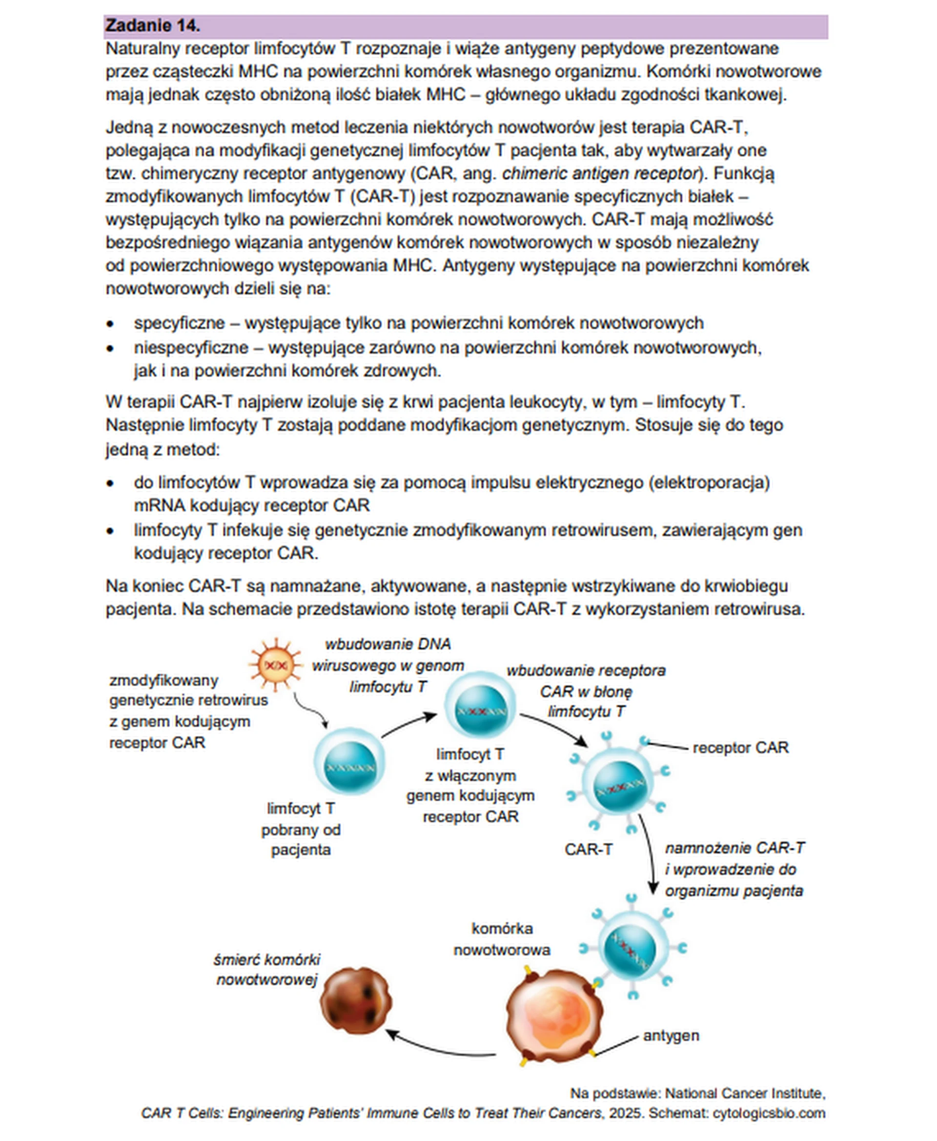 Matura maj 2026. Biologia, poziom rozszerzony – zadanie 14