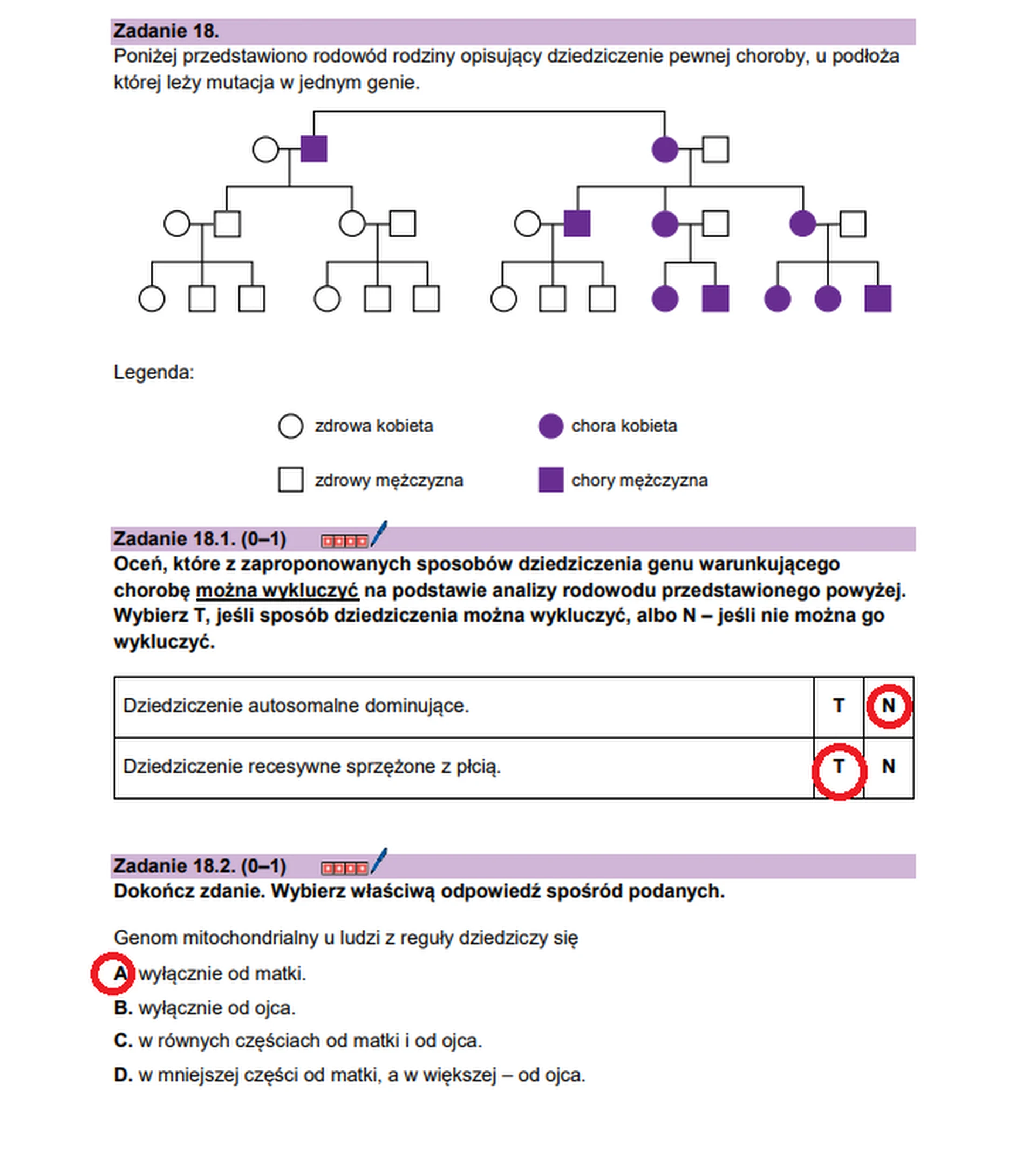 Matura maj 2026. Biologia, poziom rozszerzony – zadanie 18