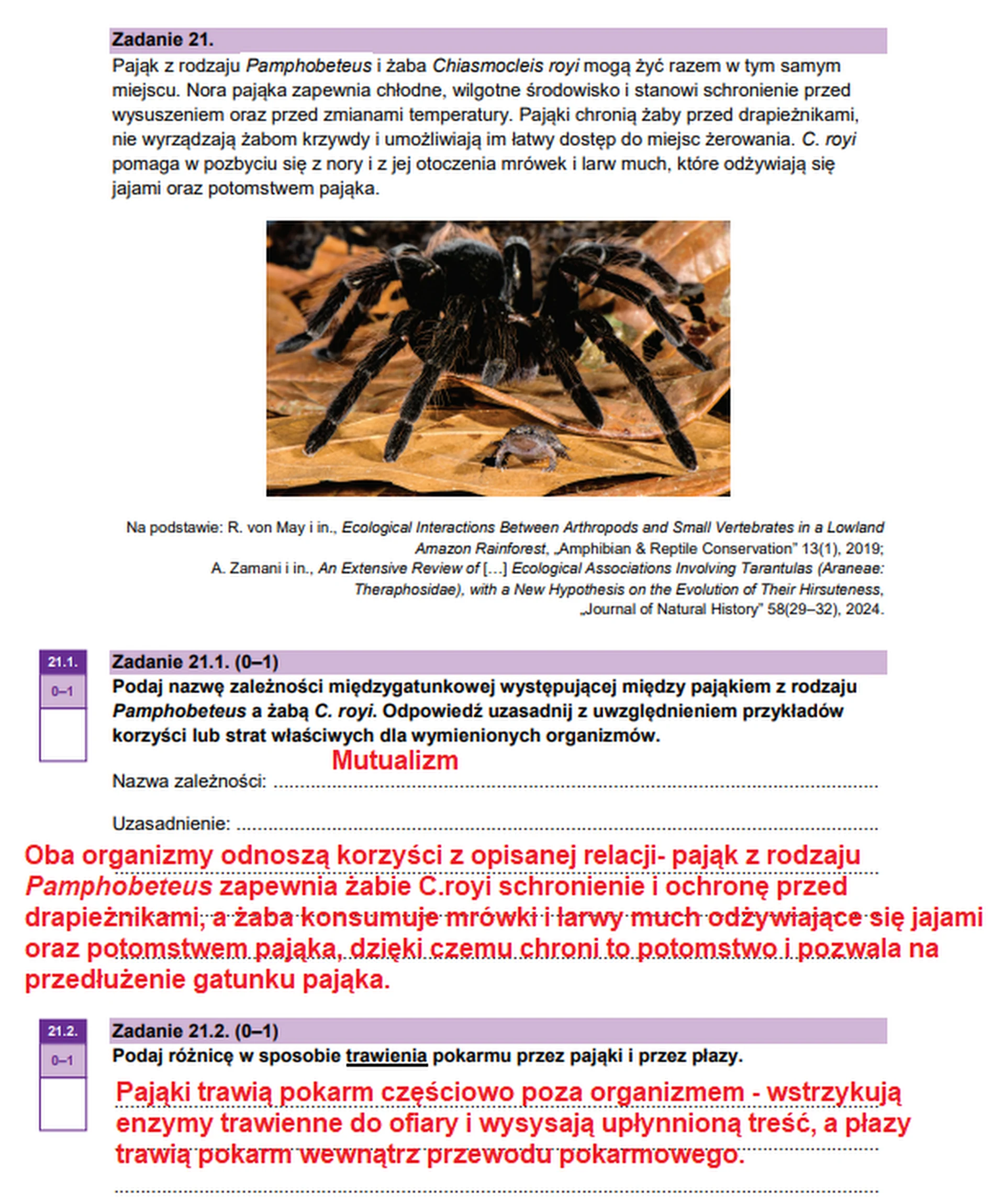 Matura maj 2026. Biologia, poziom rozszerzony – zadanie 21