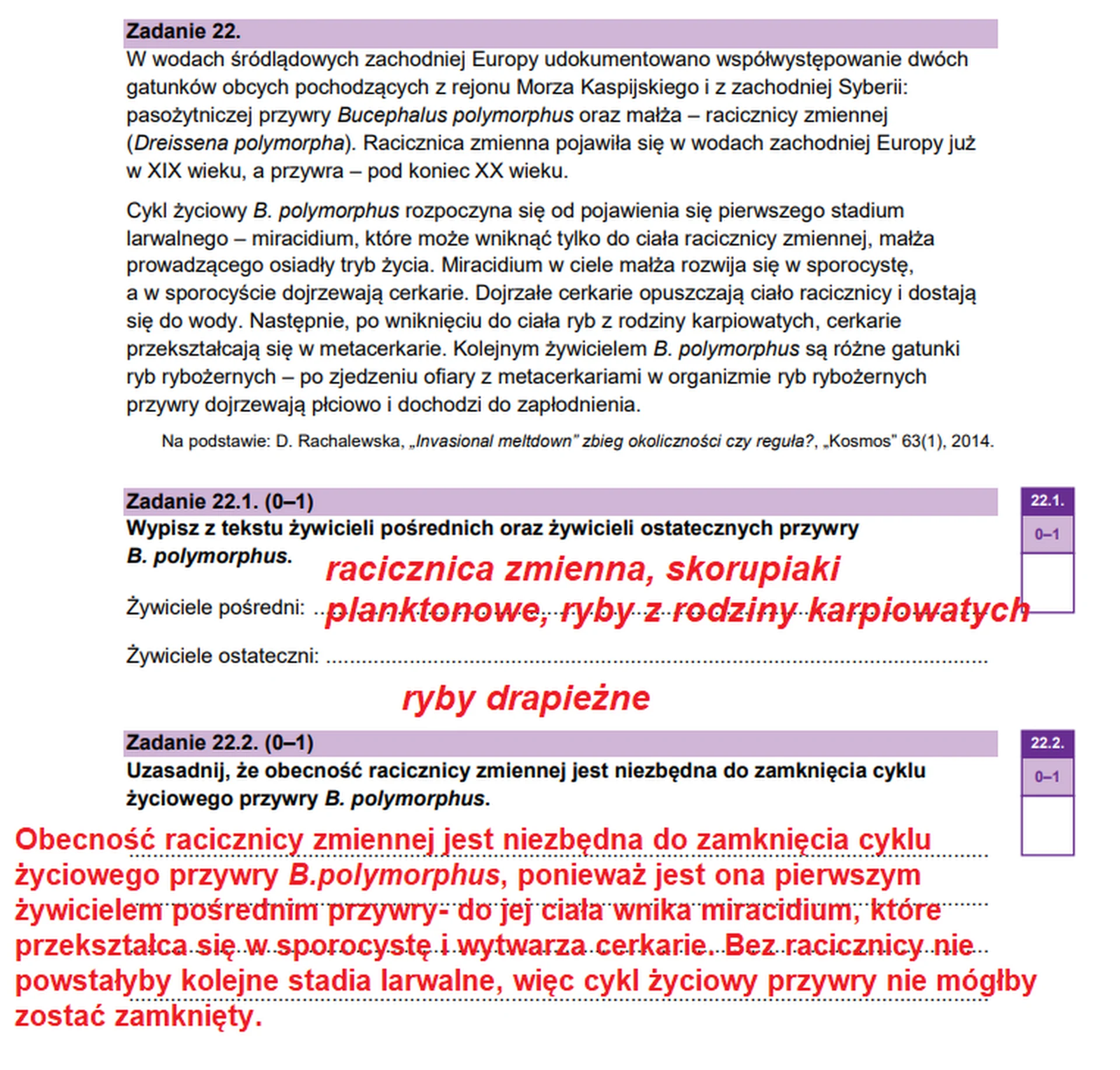 Matura maj 2026. Biologia, poziom rozszerzony – zadanie 22
